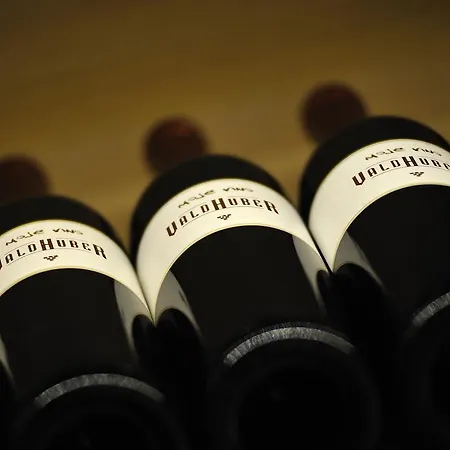 Bauernhof Vino Valdhuber *
