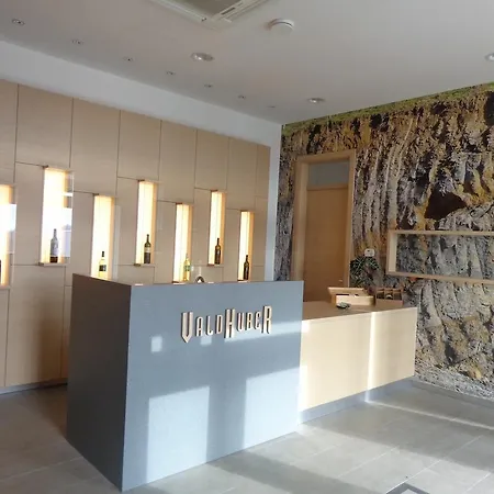 Bivanje na kmetiji Vino Valdhuber *